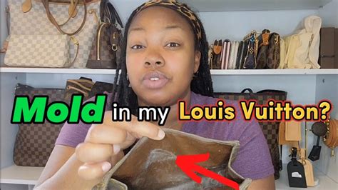 How to remove mold and mildew from Louis Vuitton! 